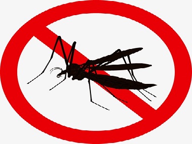 容易招蚊子咬是为什么？和顺杀虫公司告诉您