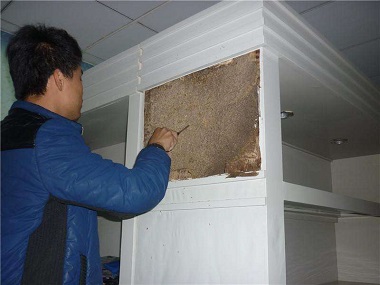 里水白蚁防治房屋装修预防白蚁的方法