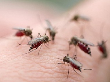 黄岐虫害防治所常用的灭蚊子的办法有哪些
